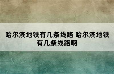 哈尔滨地铁有几条线路 哈尔滨地铁有几条线路啊